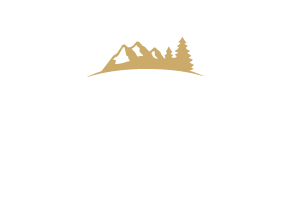 WoodyLab Logo